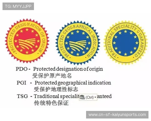 运动康复周边产品市场化，用户需求加速释放